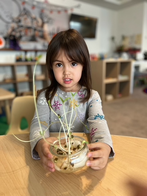 A young girl smiles while holding a small plant in a clear glass bowl, showcasing her love for nature and gardening.