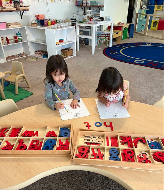 Little Einsteins Montessori and Daycare LLC - Elaine's review